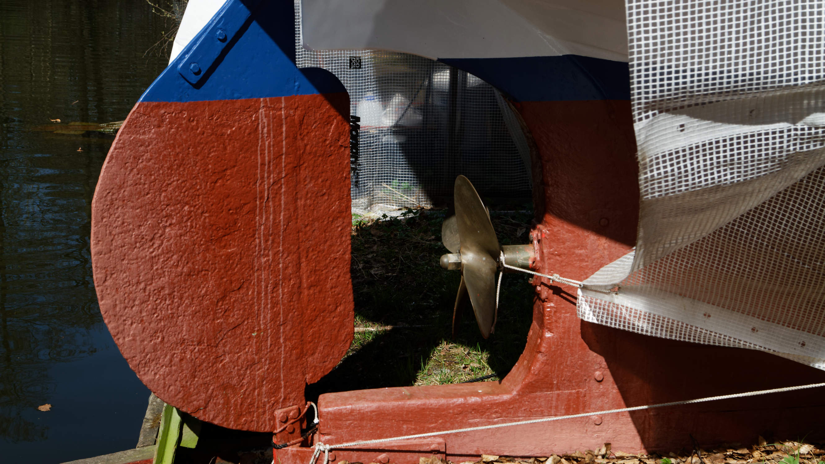 20210420 Lyngby Sø 09